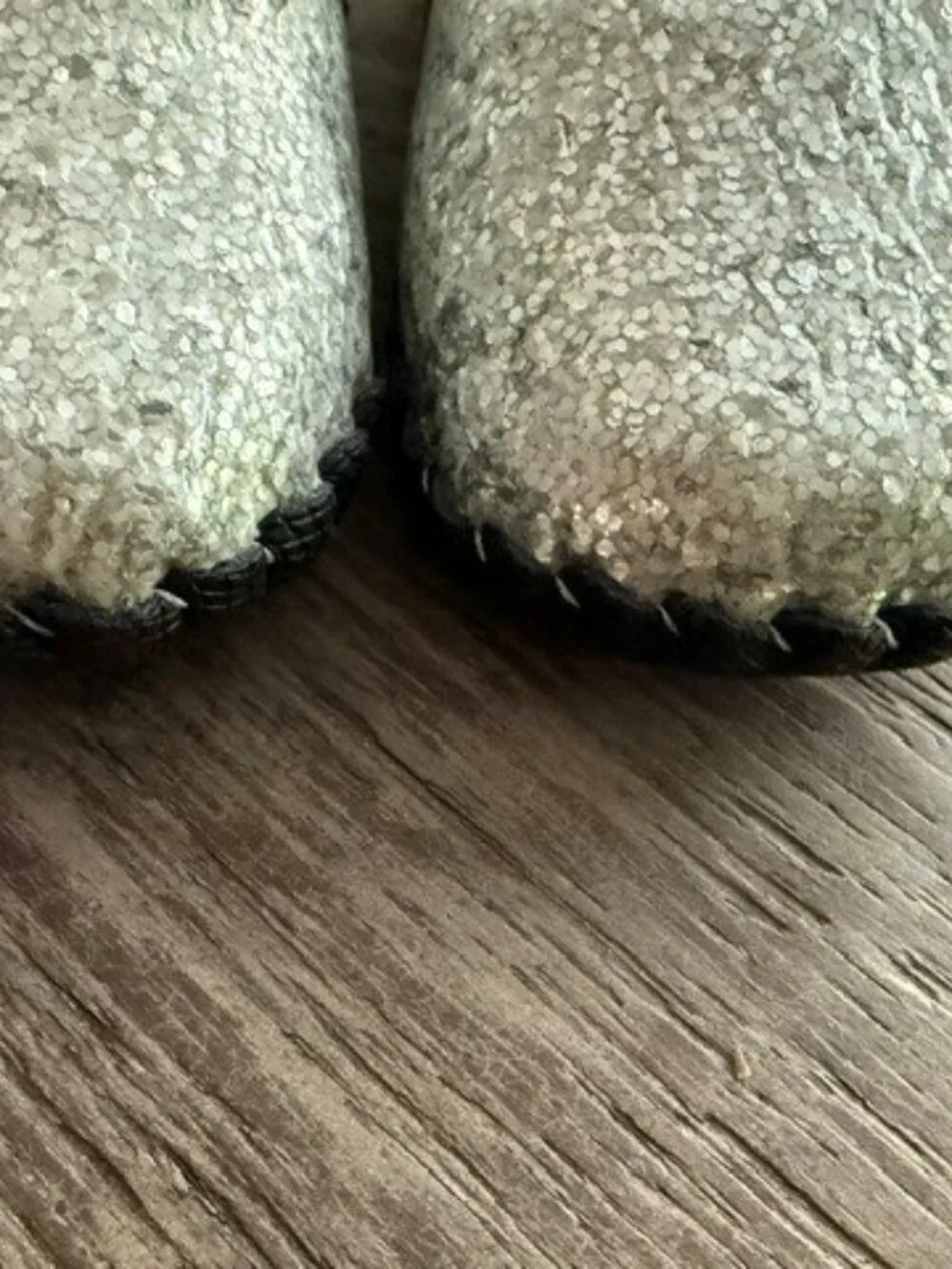 pediped originals Delaney shoes